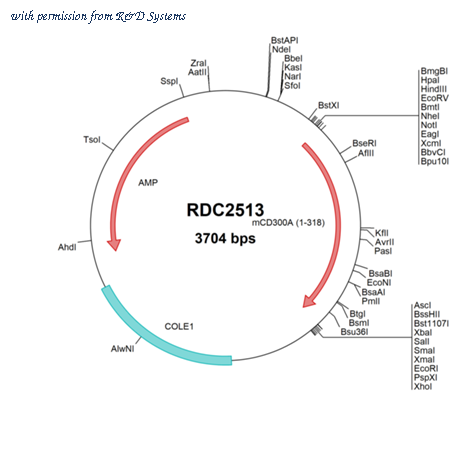 R&D Systems RDC2513 image 1