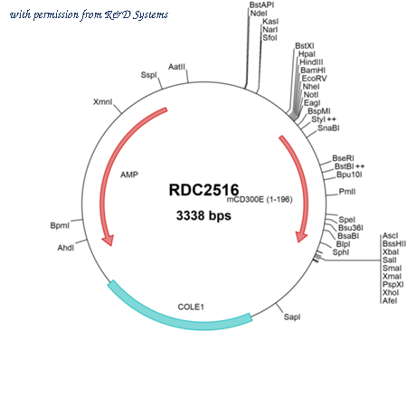 R&D Systems RDC2516 image 1