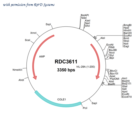 R&D Systems RDC3611 image 1