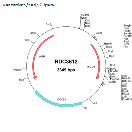 R&D Systems RDC3612 image 1