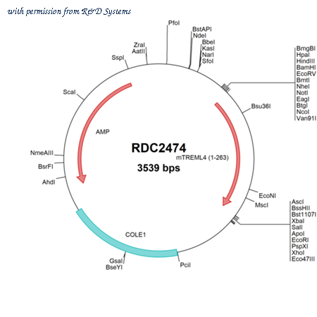 R&D Systems RDC2474 image 1