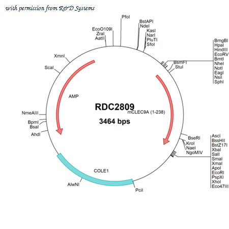 R&D Systems RDC2809 image 1