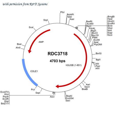 R&D Systems RDC3718 image 1