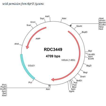 R&D Systems RDC3449 image 1