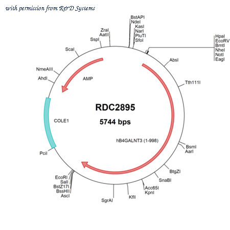 R&D Systems RDC2895 image 1