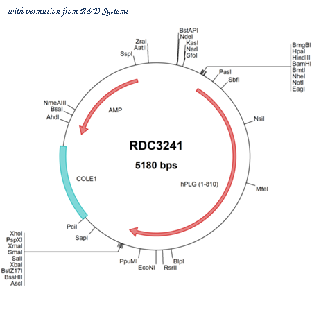 R&D Systems RDC3241 image 1