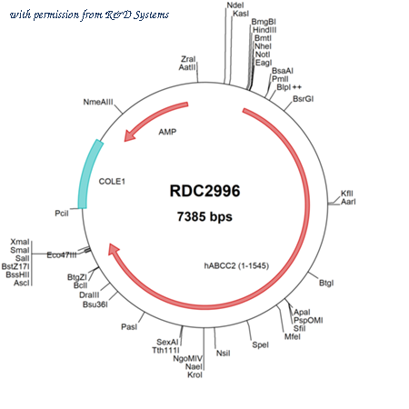 R&D Systems RDC2996 image 1
