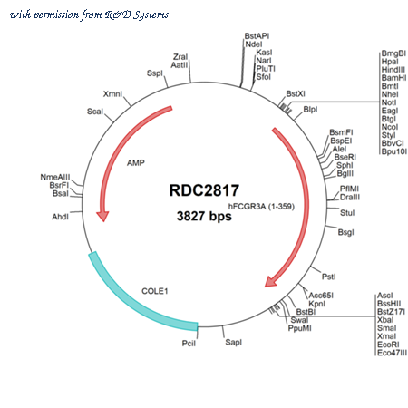 R&D Systems RDC2817 image 1