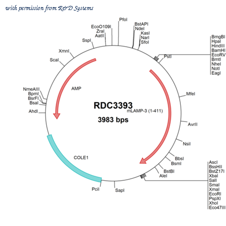 R&D Systems RDC3393 image 1