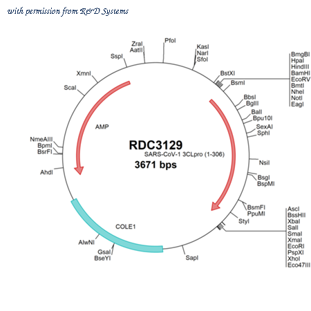 R&D Systems RDC3129 image 1