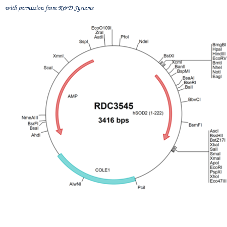 R&D Systems RDC3545 image 1