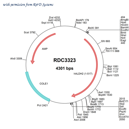 R&D Systems RDC3323 image 1