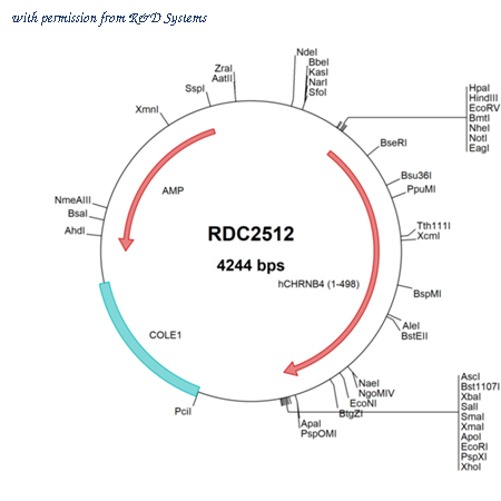 R&D Systems RDC2512 image 1