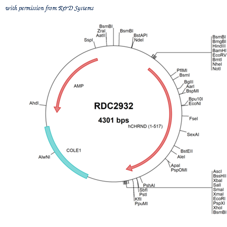 R&D Systems RDC2932 image 1