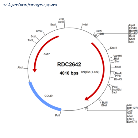 R&D Systems RDC2642 image 1
