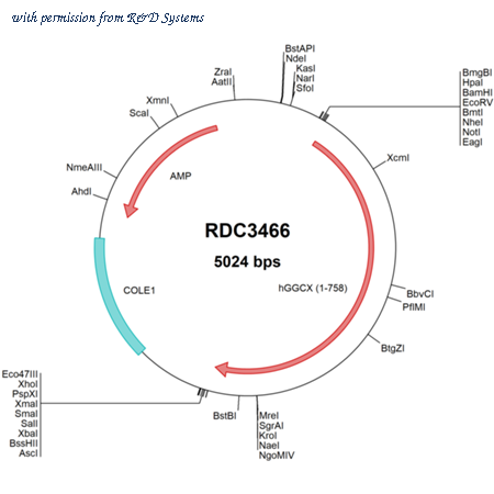 R&D Systems RDC3466 image 1
