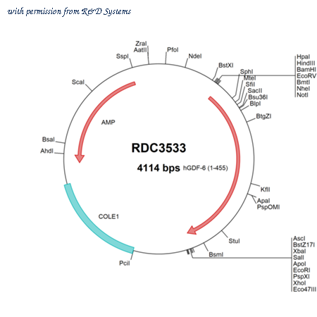 R&D Systems RDC3533 image 1