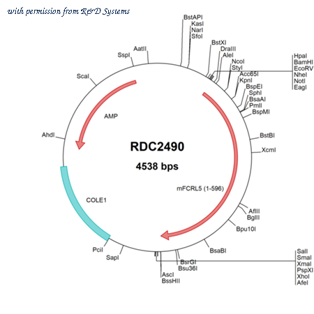 R&D Systems RDC2490 image 1