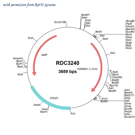 R&D Systems RDC3240 image 1