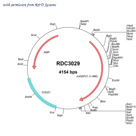 R&D Systems RDC3029 image 1