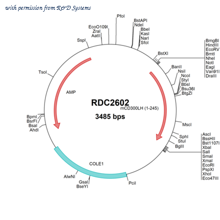R&D Systems RDC2602 image 1