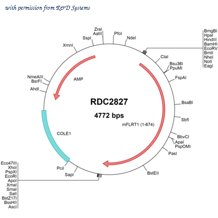 R&D Systems RDC2827 image 1