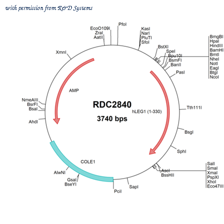 R&D Systems RDC2840 image 1