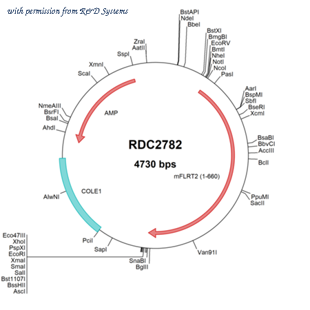 R&D Systems RDC2782 image 1