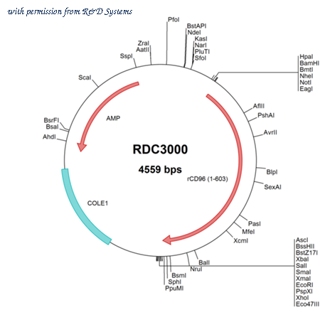 R&D Systems RDC3000 image 1
