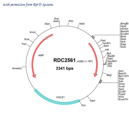 R&D Systems RDC2561 image 1