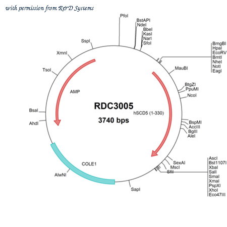 R&D Systems RDC3005 image 1