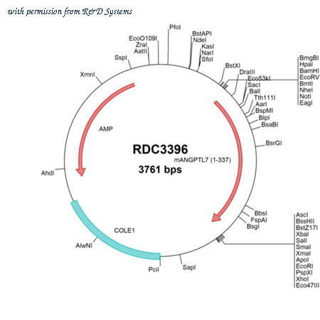 R&D Systems RDC3396 image 1