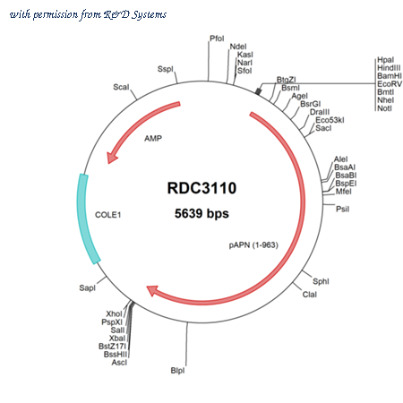 R&D Systems RDC3110 image 1