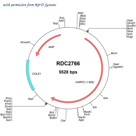 R&D Systems RDC2766 image 1