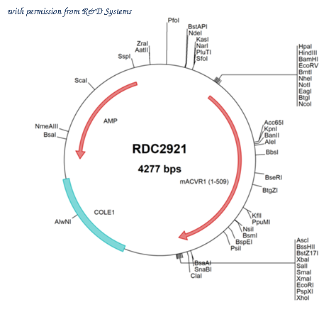 R&D Systems RDC2921 image 1