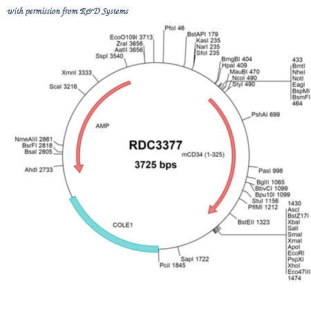 R&D Systems RDC3377 image 1