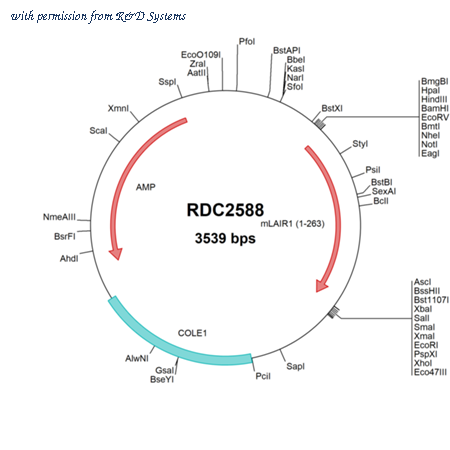 R&D Systems RDC2588 image 1