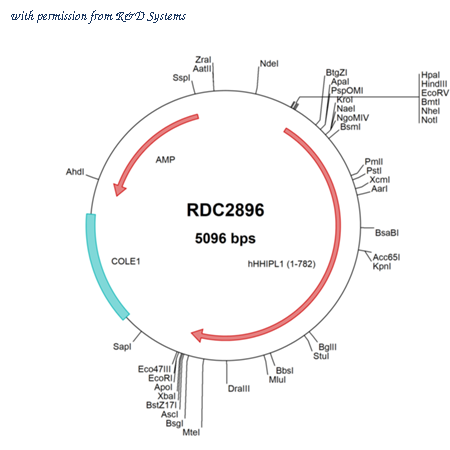 R&D Systems RDC2896 image 1