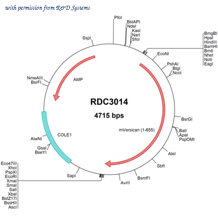 R&D Systems RDC3014 image 1