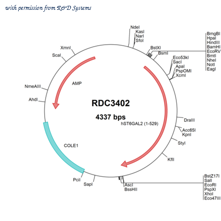 R&D Systems RDC3402 image 1