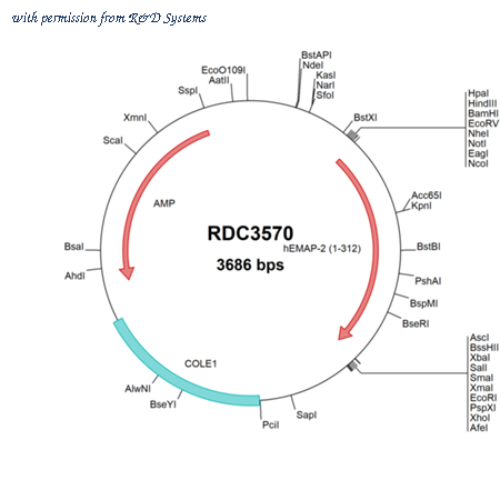 R&D Systems RDC3570 image 1