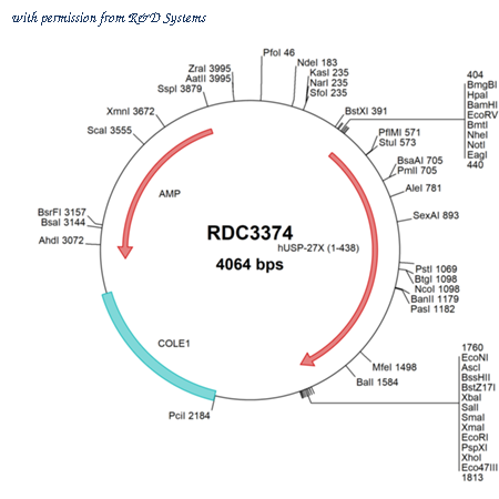 R&D Systems RDC3374 image 1
