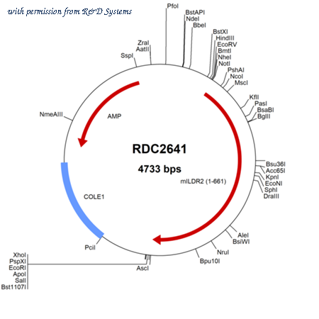 R&D Systems RDC2641 image 1