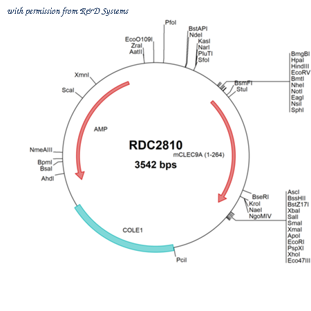 R&D Systems RDC2810 image 1