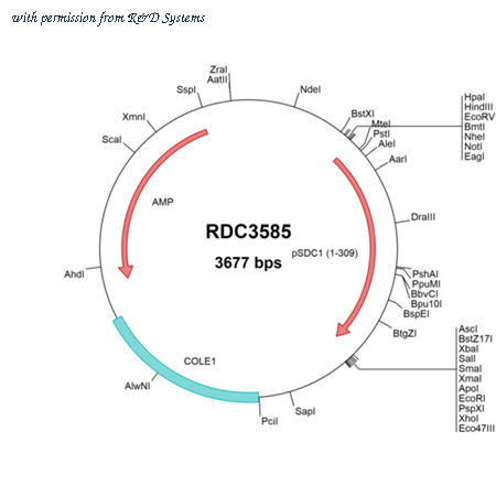 R&D Systems RDC3585 image 1