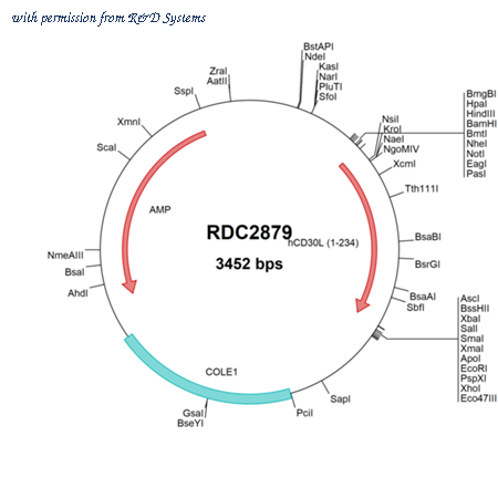 R&D Systems RDC2879 image 1