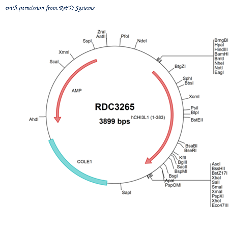 R&D Systems RDC3265 image 1