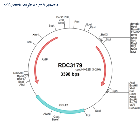 R&D Systems RDC3179 image 1