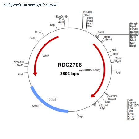 R&D Systems RDC2706 image 1