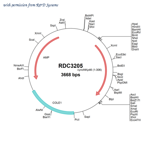 R&D Systems RDC3205 image 1